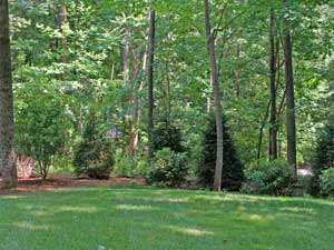 Always Consider Your Views for Backyard Patios