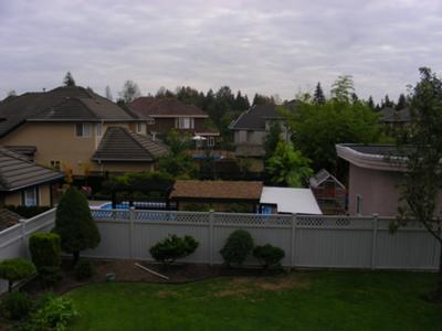 Backyard Privacy Along a Fence