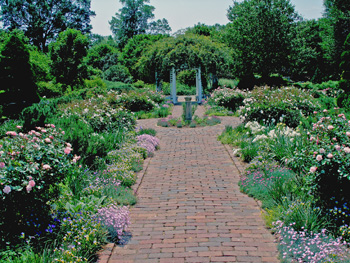 Flower Garden Landscape Design