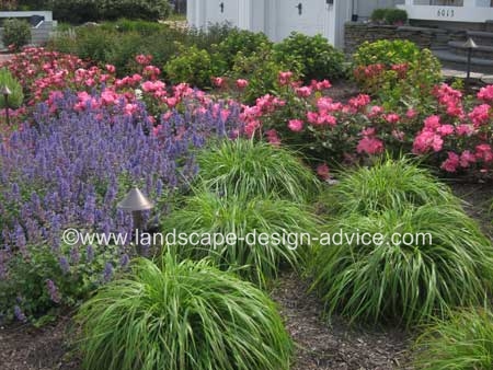 Front yard design with lots of colorful perennials.