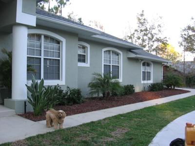 Front Yard Landscape