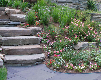 Perennial Garden Design Pictures and Professional Tips