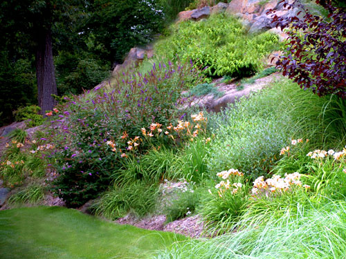 Steep Slope Front Yard Landscaping