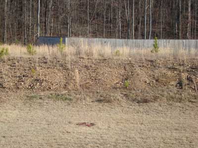 Hill and Back Yard Hill and Back Yard