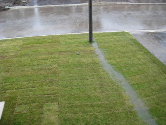 Poor Lawn Drainage