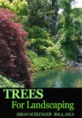 Learn more about trees here.