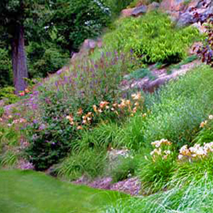 Hill Landscaping Ideas