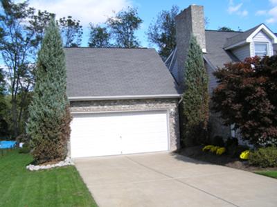 garage entrance - dying witchita junipers.