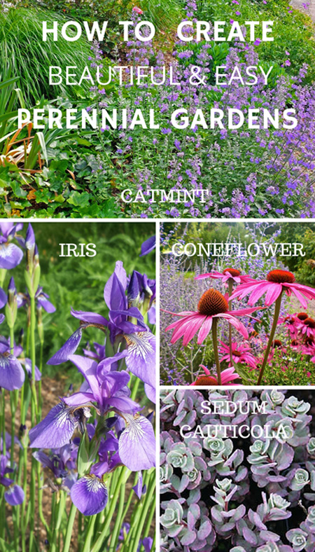 Designing a perennial garden.