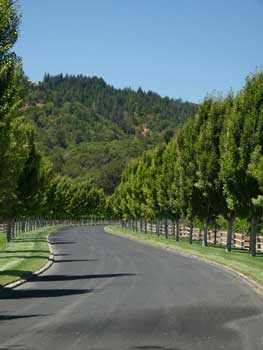 This is an asphalt driveway with granite curbing.