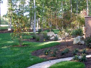 Backyard Landscaping Ideas and Ideas