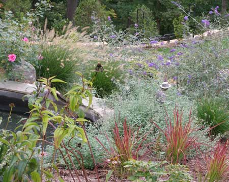 Water feature and flowers