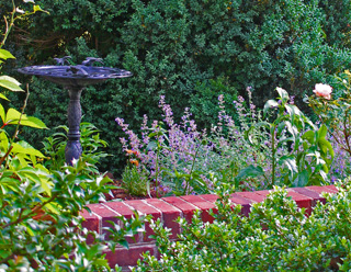 a pretty bird bath set in the planting bed