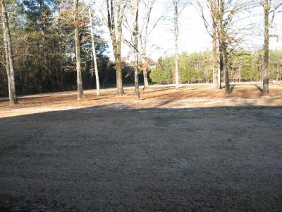 Backyard Landscaping - Looking Out From the Back Porch 