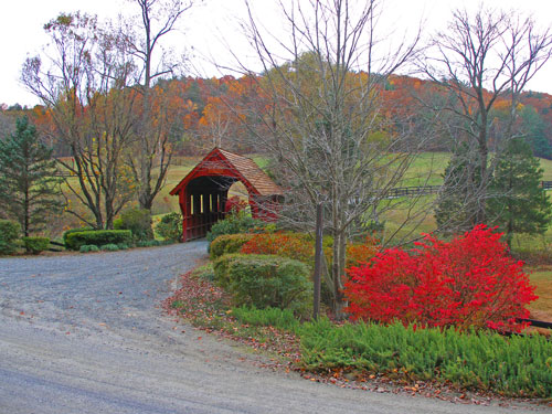 Mixed plantings at a driveway entry in the fall.