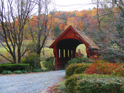 Trees at driveway entrance mixed with shrubs and perennials.