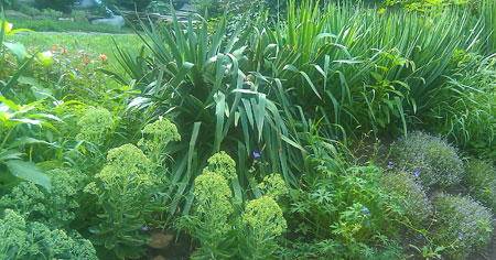 Xeriscape landscaping is low maintenance and useful on a slope.