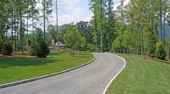 Driveway entry plantings with trees.