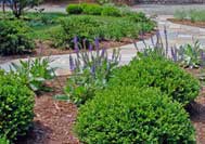 Front bluestone walkway