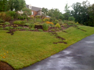 Front Yard Runoff