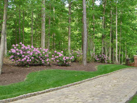 Beautiful Driveway Designs and Creative Ideas