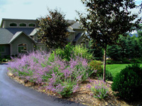 driveway entry plantings