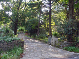 cobblestone driveway