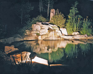 An image of a pond with outdoor lights.