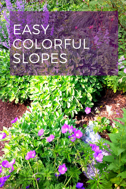 Landscaping Steep Slopes | Hillside Landscapes