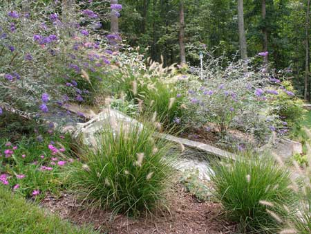 Plantings at water.