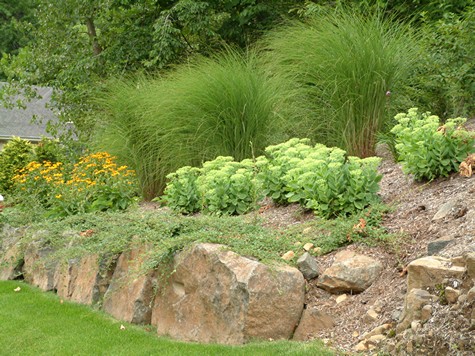 Landscaping Steep Slopes | Hillside Landscapes