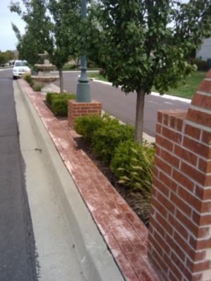 island planting bed