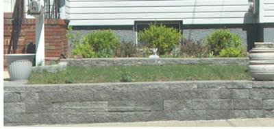 Retaining Wall Plantings