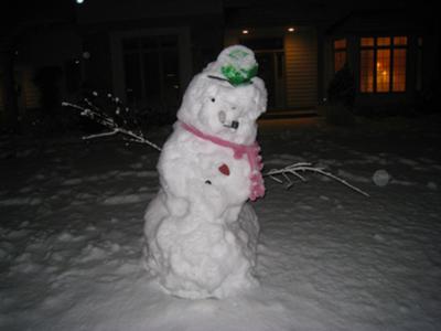 MN Snowman-  helpless to save the shrubs