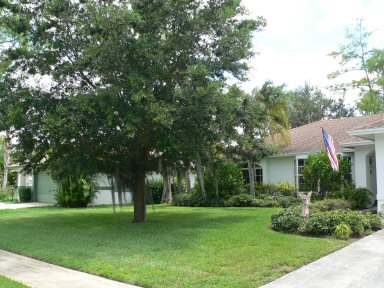 Front Planting View From Street