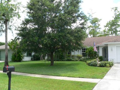 Front Planting View From Street 2