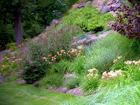 Landscaping Steep Slopes | Hillside Landscapes