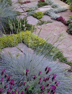 A stone path for a walkway.