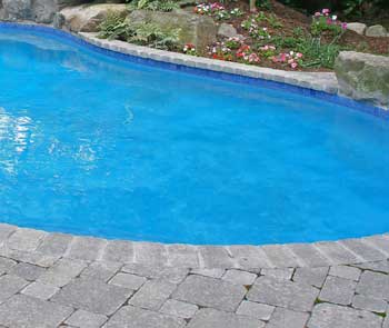 Pin on Pool Designs