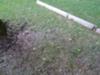 Front Yard Lawn Erosion