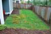 low maintenance backyard design
