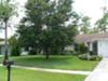 Front Planting View From Street 2