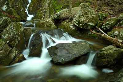 Water in nature is very soothing.