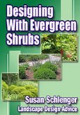 Great information on Evergreen Shrubs.
