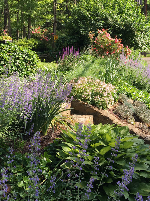 Front yard design with colorful perennials.