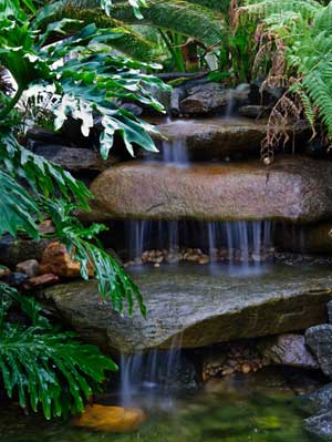 You can copy this as it's a great backyard waterfall design.