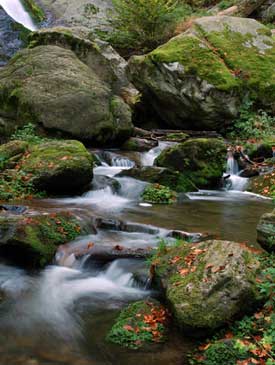 Backyard waterfalls can be relaxing to look at.