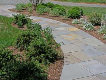 Dry laid bluestone walkway.