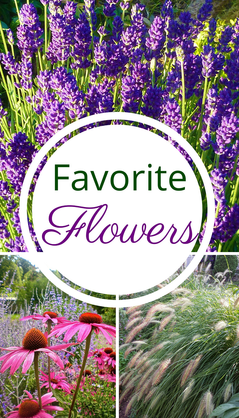 Favorite & Easy Flowers