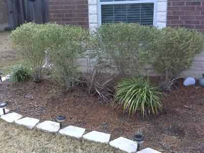 Front Plantings - Need Help With Landscape Design